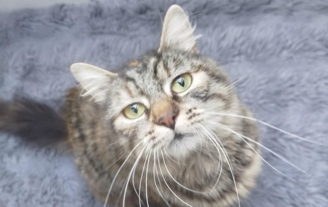 Maya regarde l'objectif afin de faire une belle photo.