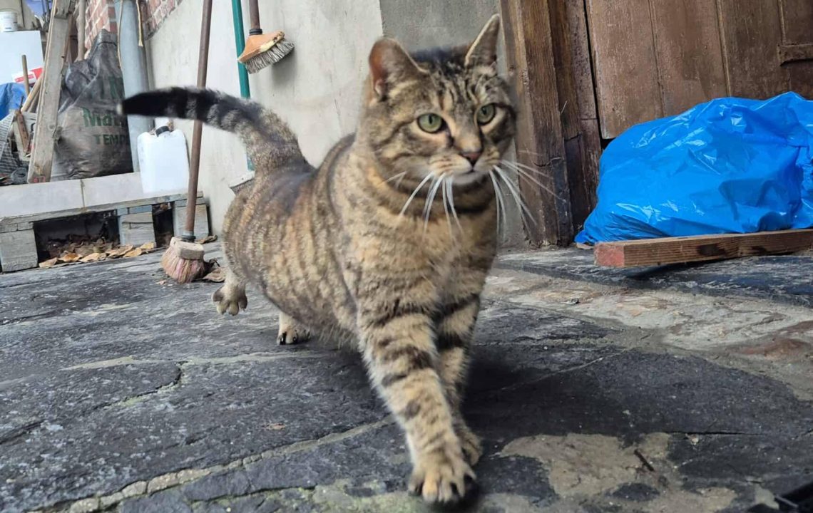 612531802_1297518485745526_6101654724844325477_n