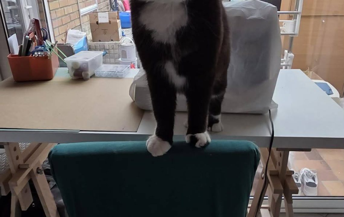 640597503_1336349528529088_1284560346635473973_n