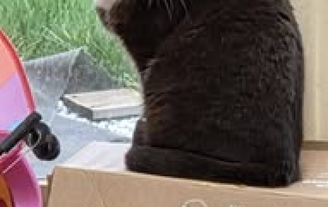 641722755_1336349488529092_9209305990094981340_n