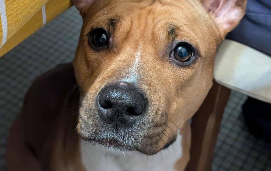 649346920_1348473793983328_2616901165400782417_n