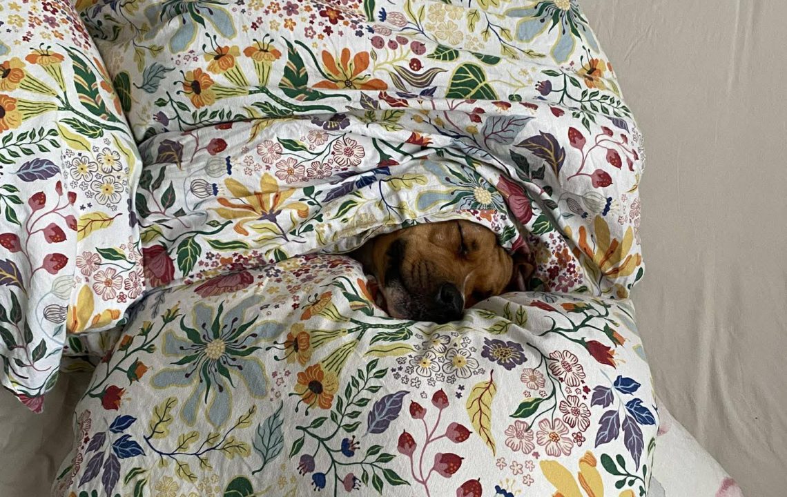 649660908_1348473987316642_2933663267202383980_n