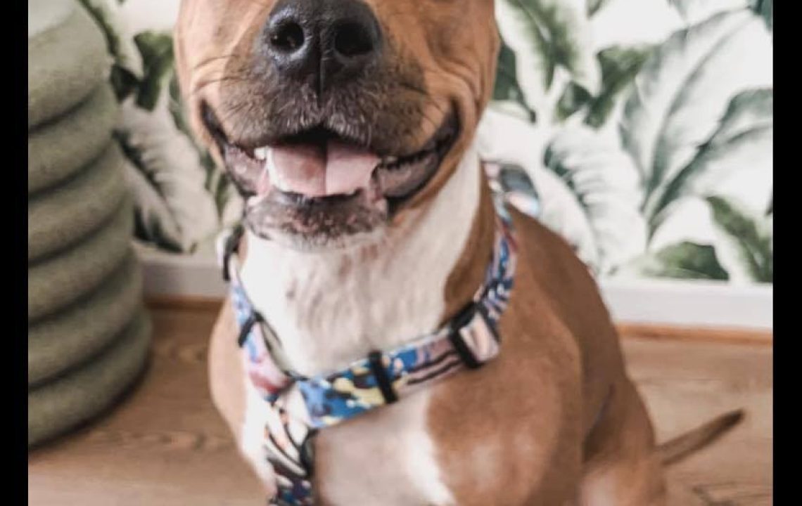 650225373_1348473753983332_7455232340659329889_n