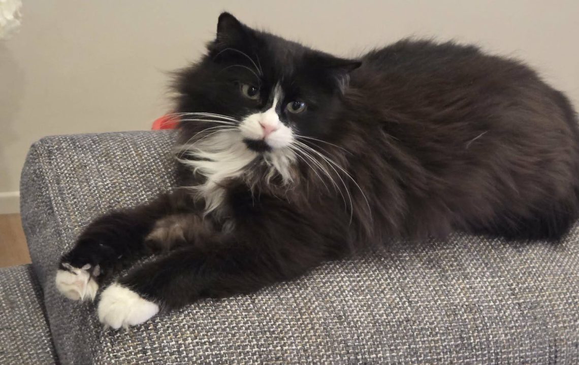 650766786_1349175400579834_8596884490935748555_n