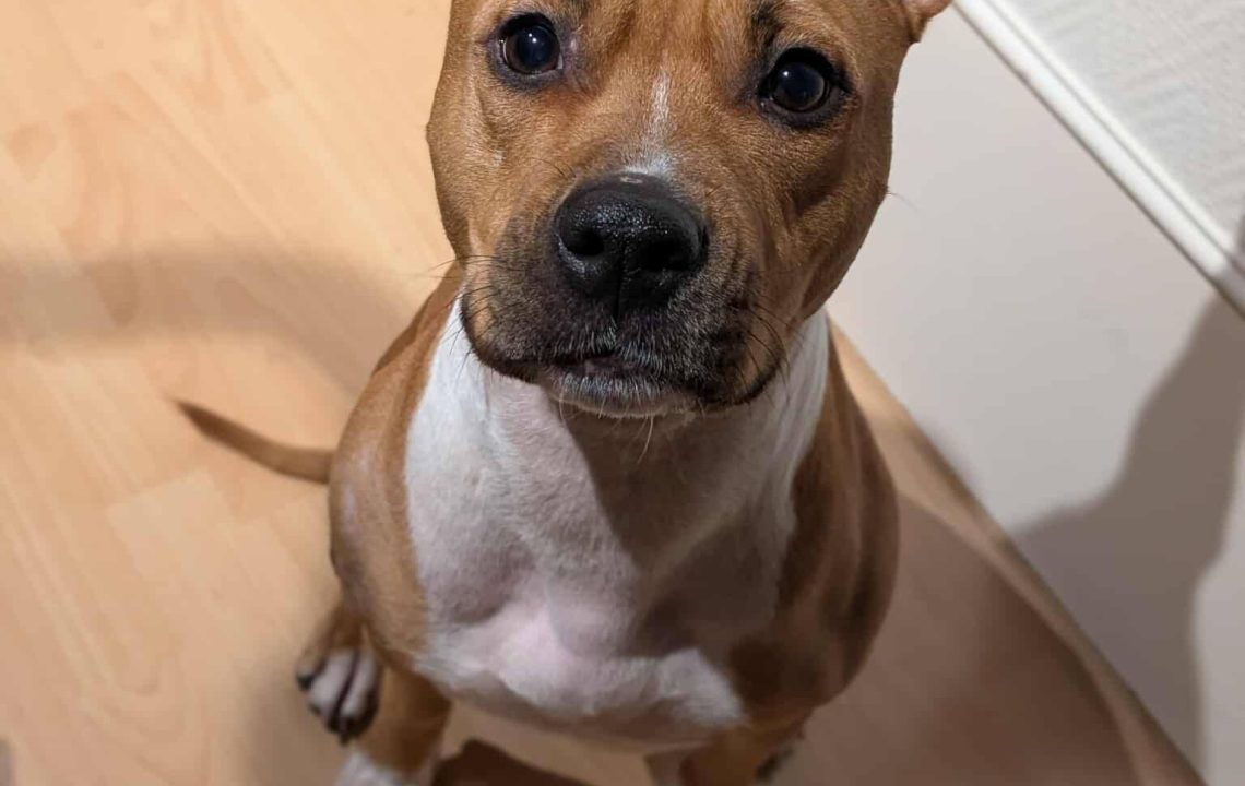 650821166_1348473907316650_1786881644544176858_n