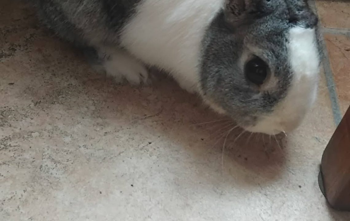 652893803_1353766843454023_6151329297415958167_n