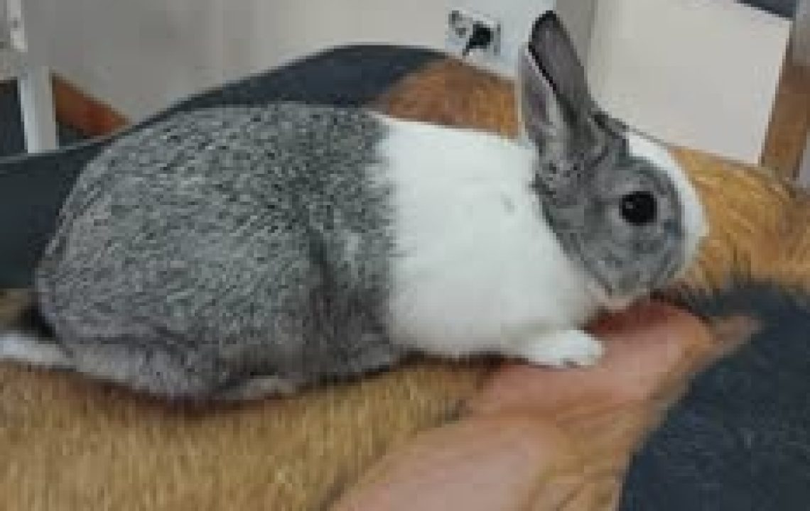 652902485_1353766746787366_7046106236276129001_n