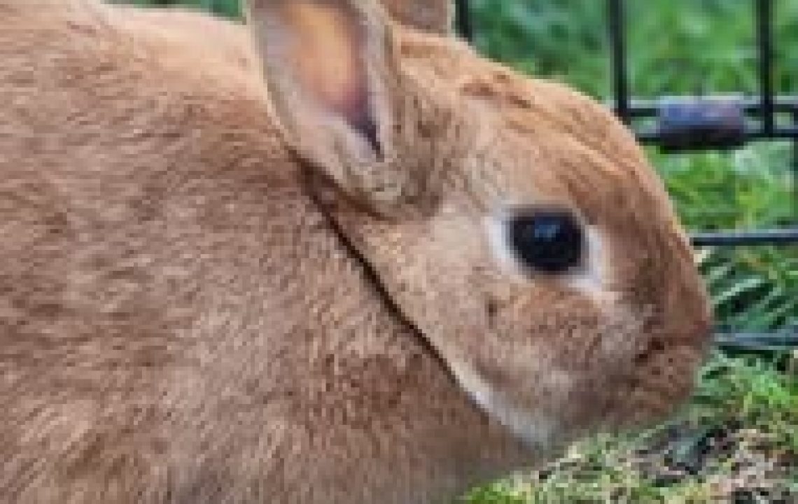 653874406_1356136839883690_699904024387578452_n