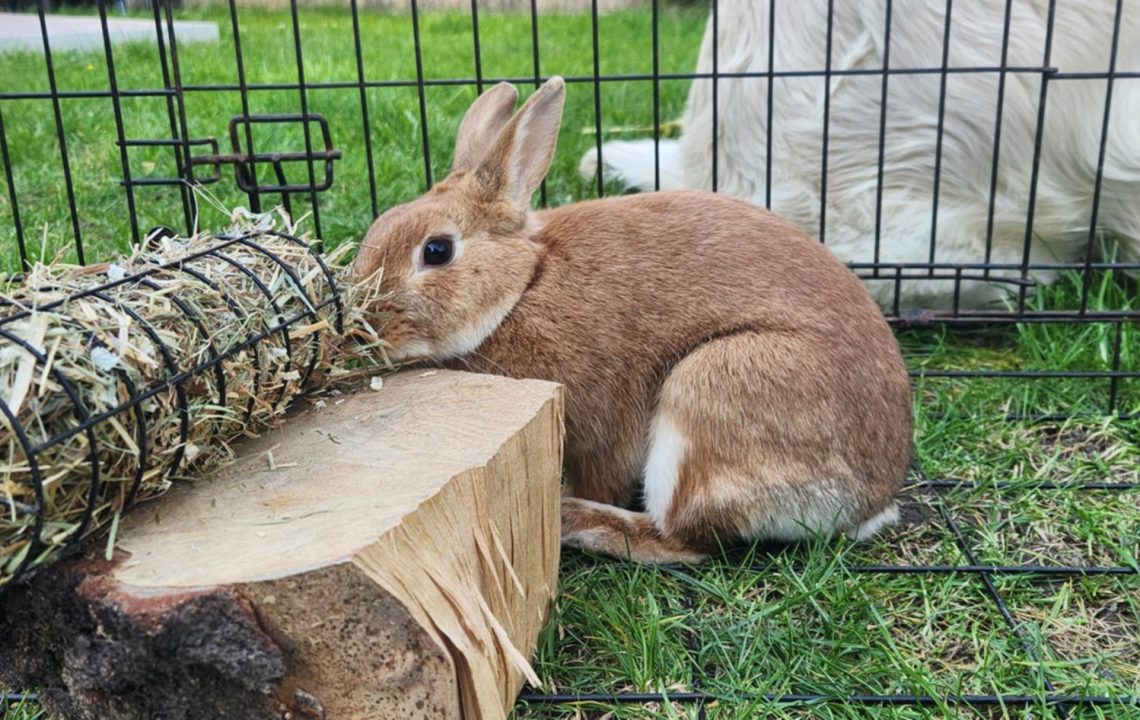 657096218_1356136616550379_1673806772885304028_n