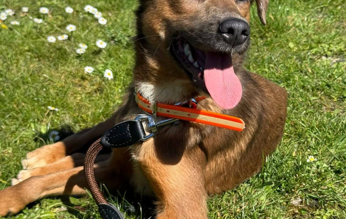 672095454_1378256941005013_8244707651617768765_n