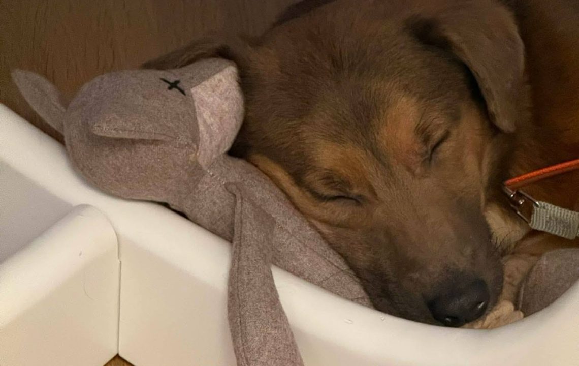 672683458_1378257251004982_670190706598964659_n