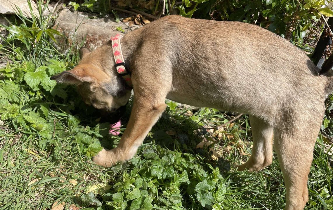 672685971_1382504003913640_7085722057277024756_n