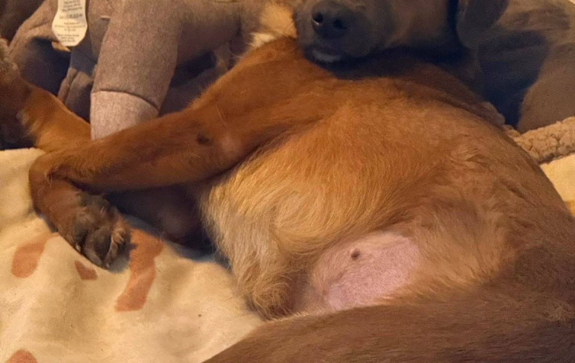 674188304_1378257131004994_596884239990730090_n