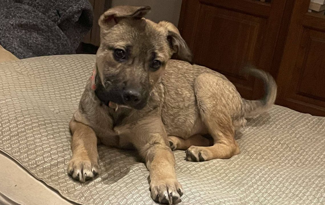 674564571_1382504160580291_756136765171969737_n