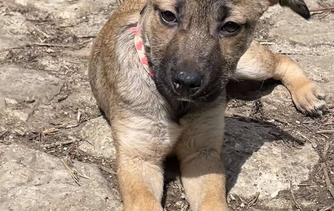 675089957_1382504237246950_4012082409452678360_n