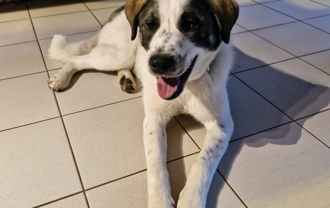 675305037_1380904424073598_4488319045148548264_n