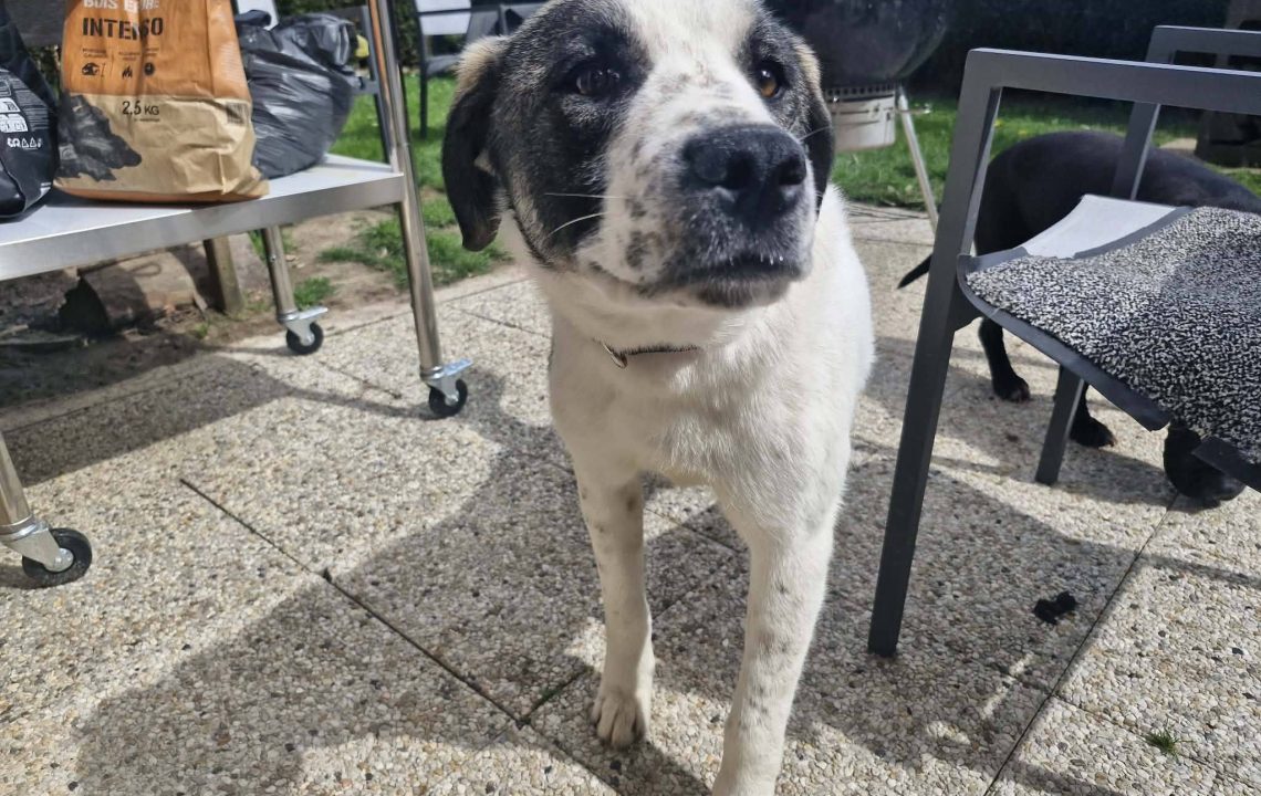 675532922_1380899740740733_8388015865427717690_n