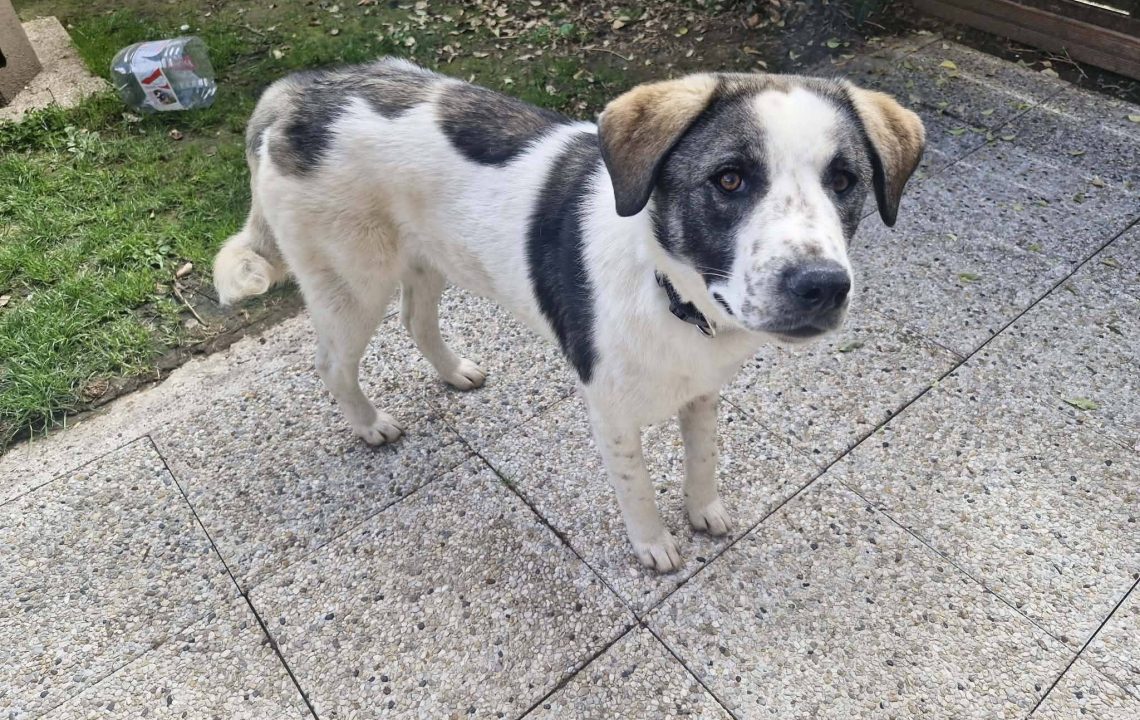 675541515_1380897534074287_5405753193022252011_n