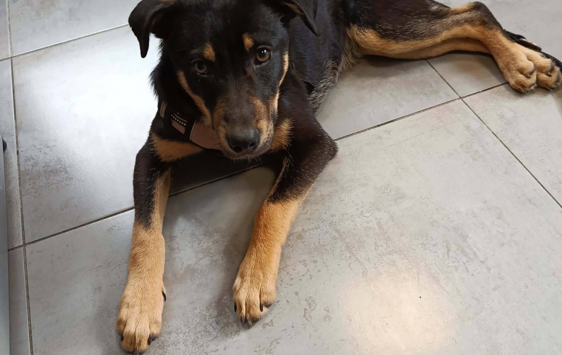 677017362_1384323307065043_6954751429760476328_n