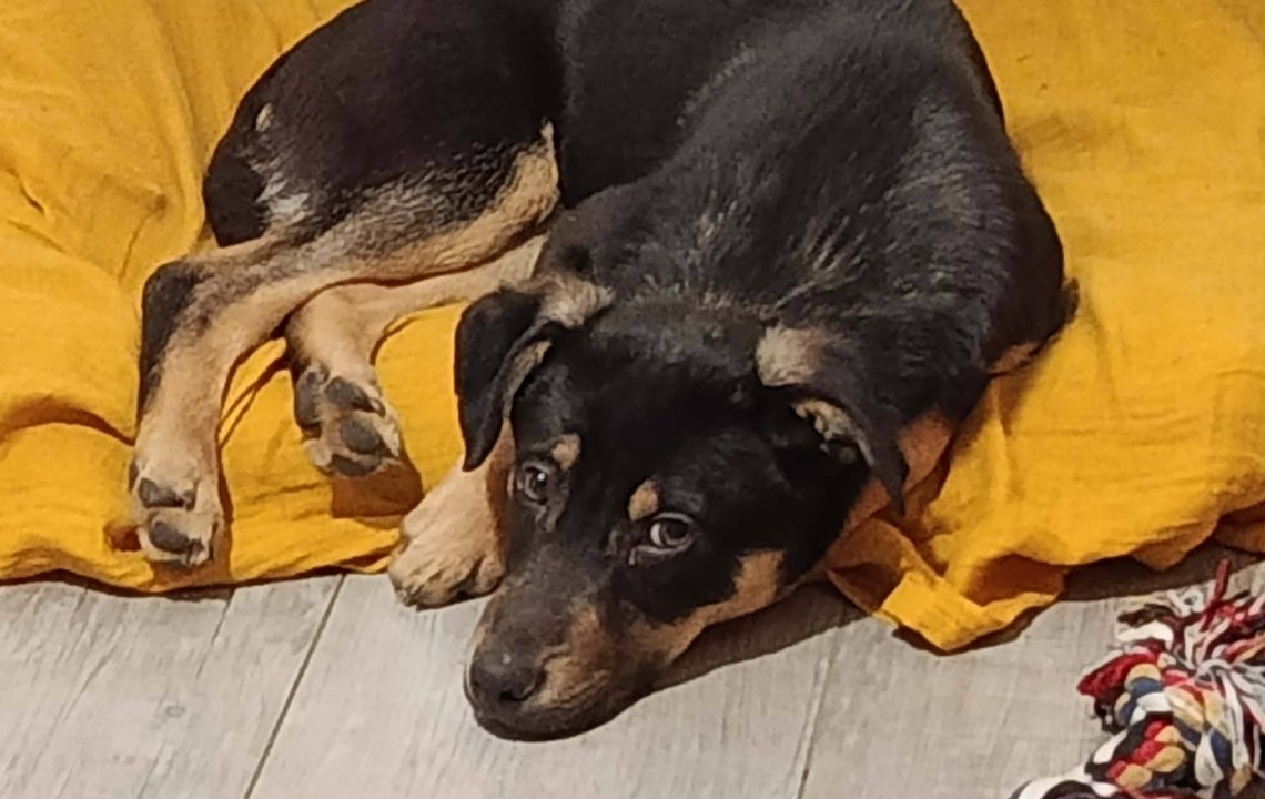 677628479_1384319587065415_621295804732258899_n