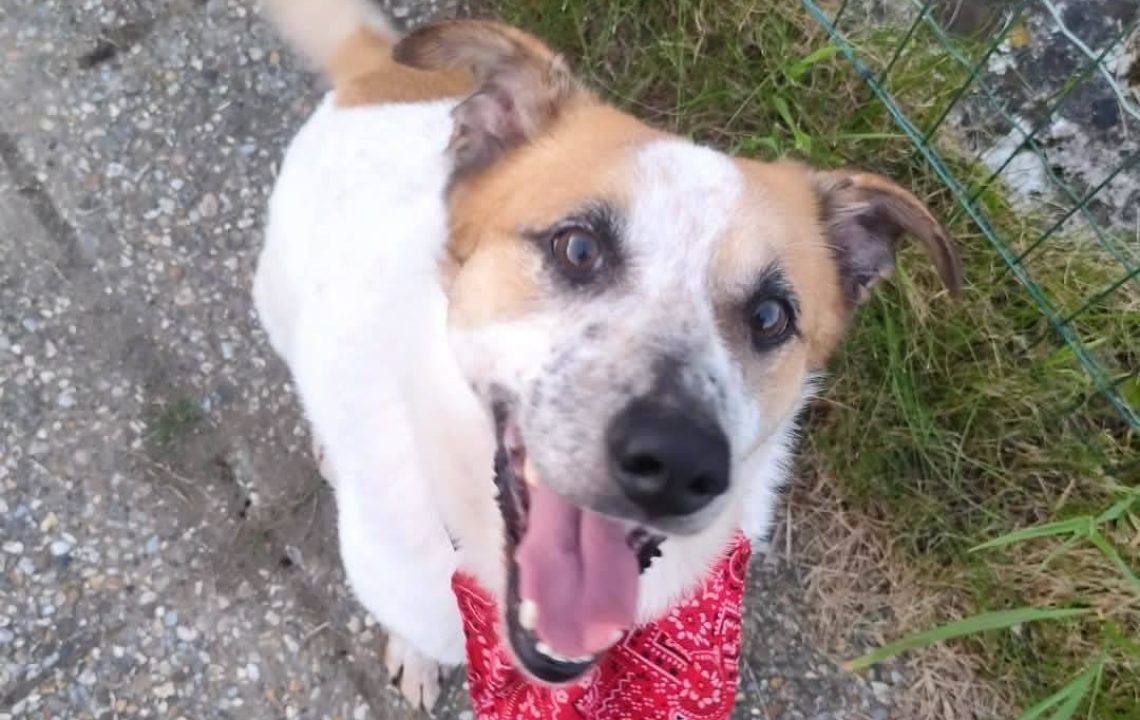 677916750_1385868913577149_7649842011970020315_n