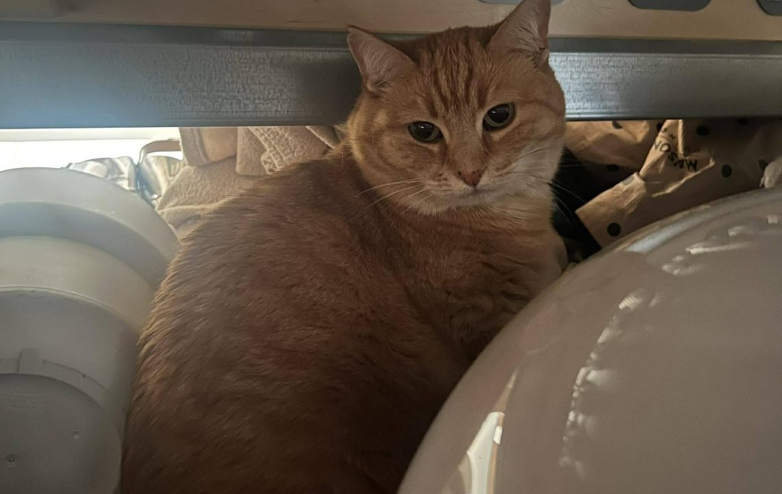 678975211_1386092070221500_8338125265135047659_n