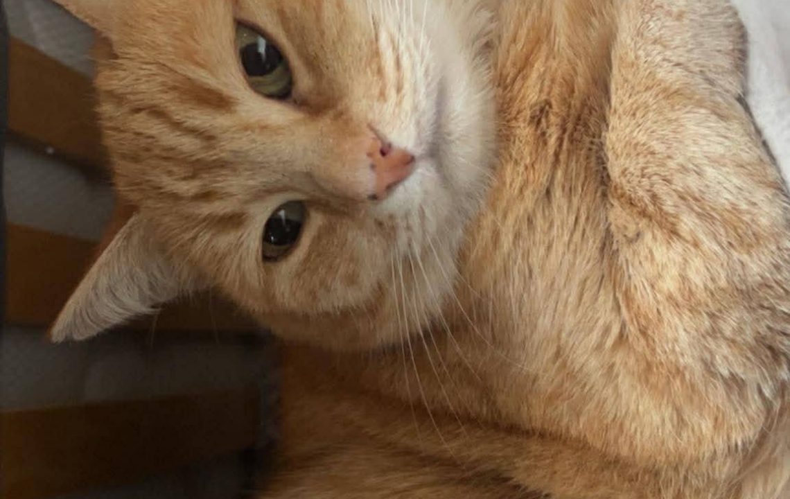 678990298_1386092123554828_1044929237844242465_n