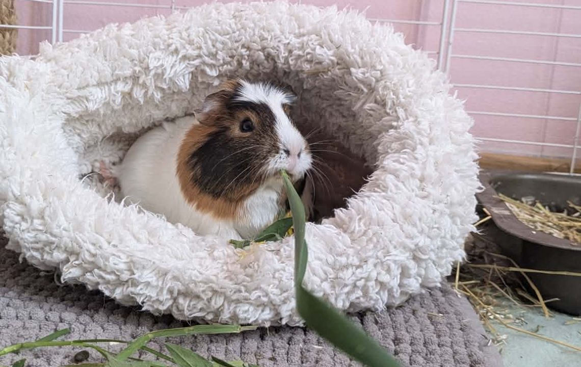 679573259_1384104147086959_3362958839587563209_n