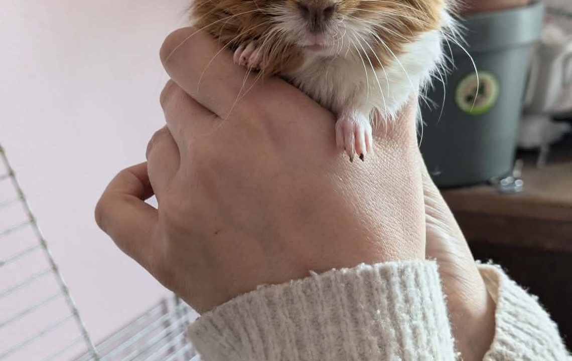 679626245_1384144500416257_1084061385113305462_n