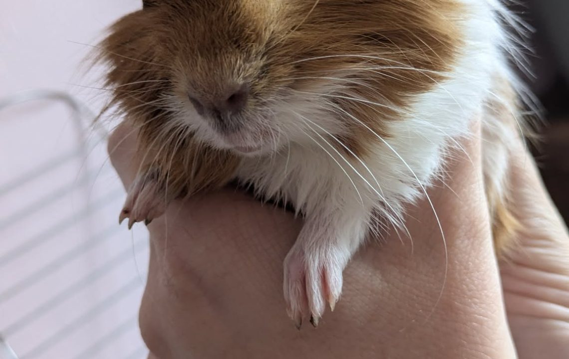 679948578_1384144497082924_2978226411117816507_n