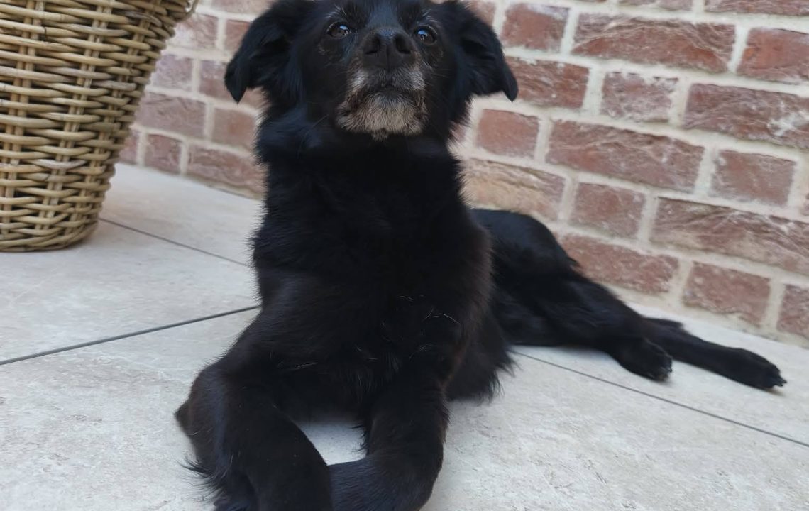 680130994_1386022903561750_2353366187662699754_n