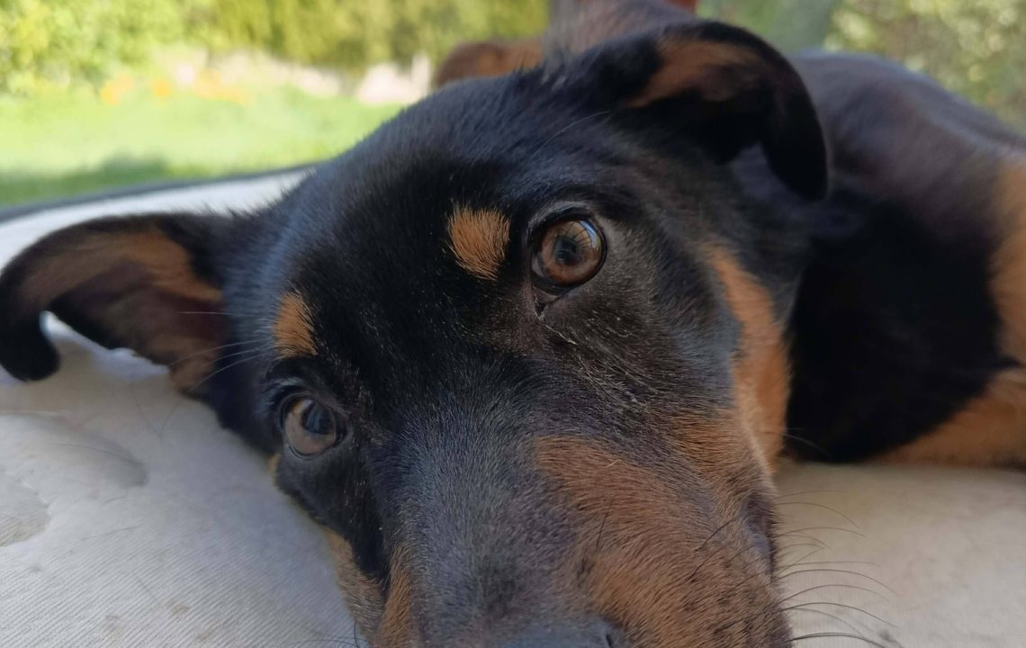 680194274_1384319270398780_2250986875451207111_n