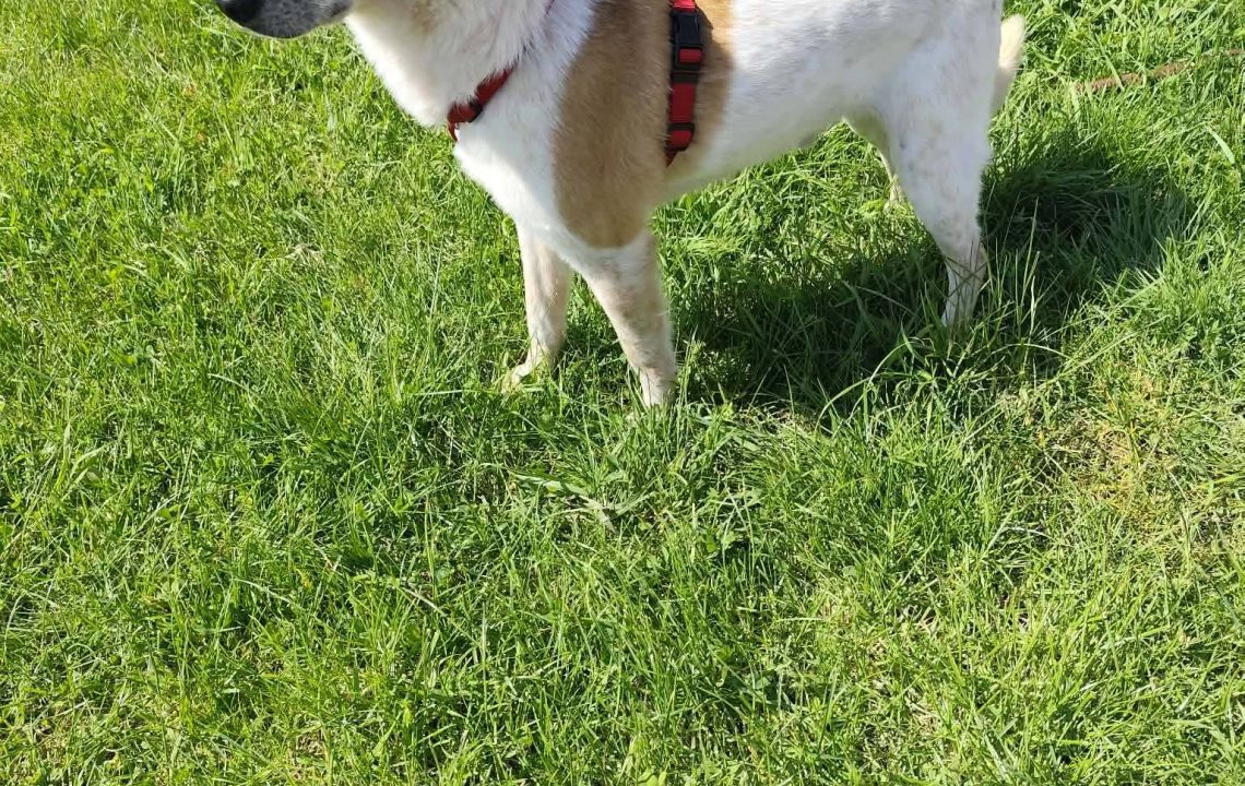 680547640_1385868866910487_6437381580933113662_n