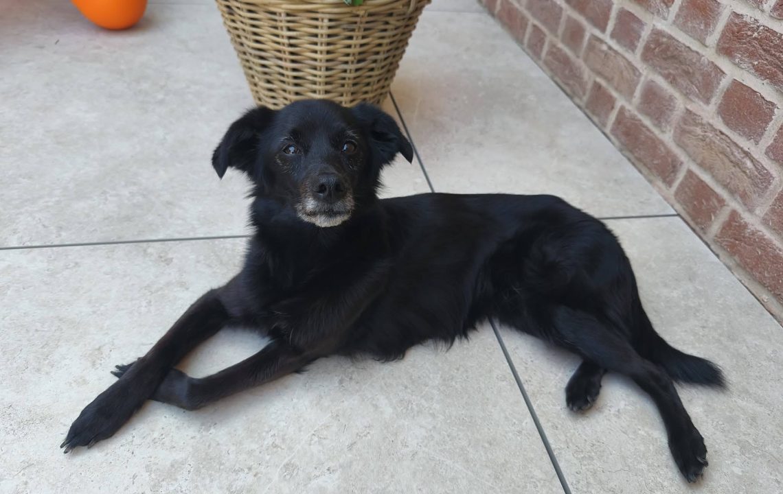 680602235_1386022733561767_3188823326529888128_n