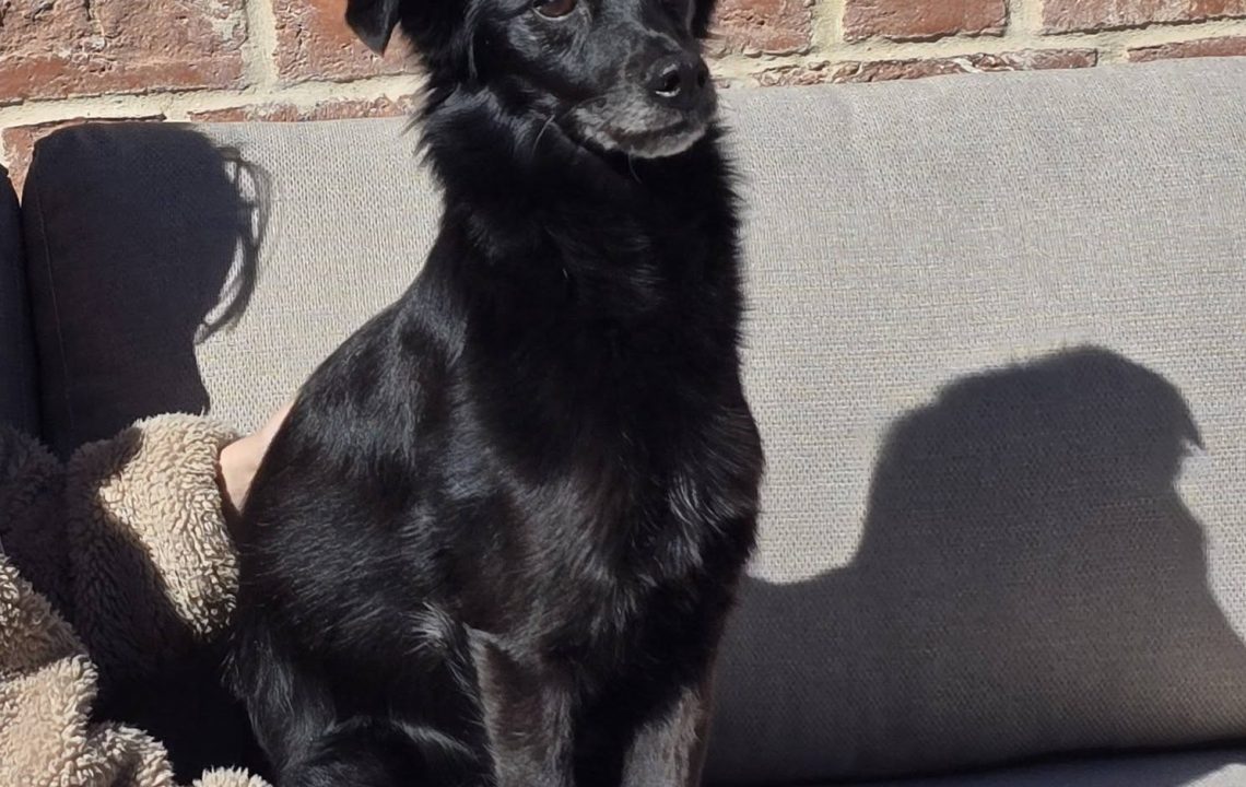 681409982_1386022783561762_6186568096077479034_n