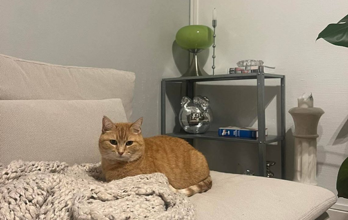 683224995_1386092273554813_4766457392001984613_n