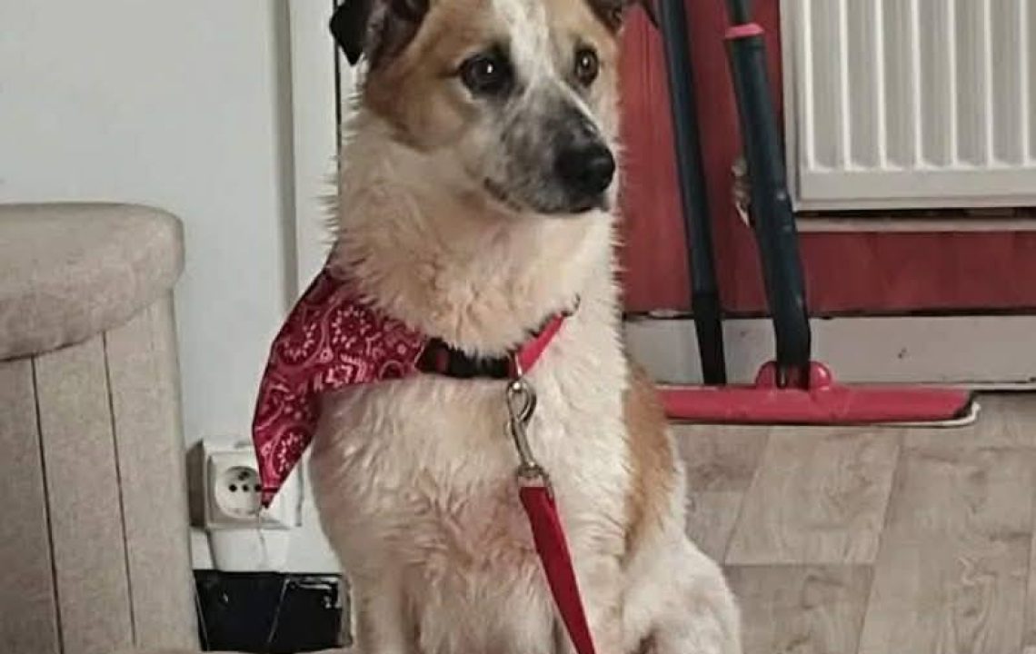 683638225_1385845960246111_8759696591874921045_n