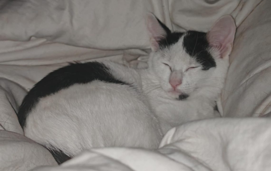 Image Facebook (7)
