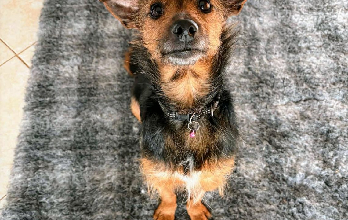 fecd9f83-d4af-4ef4-bca9-8938019293c7